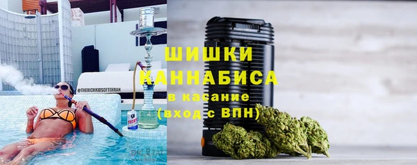 PSILOCYBIN Вяземский
