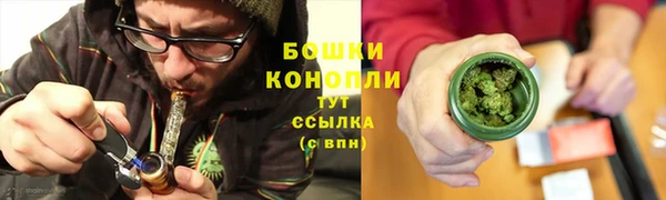 PSILOCYBIN Вяземский