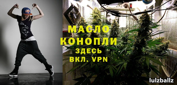 дживик Снежногорск