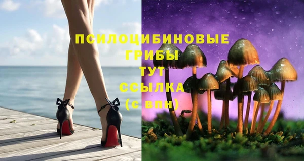 PSILOCYBIN Вяземский