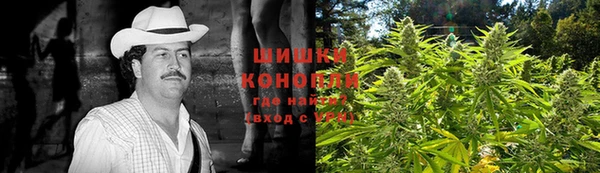 PSILOCYBIN Вяземский