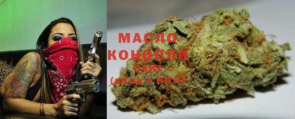 PSILOCYBIN Вяземский