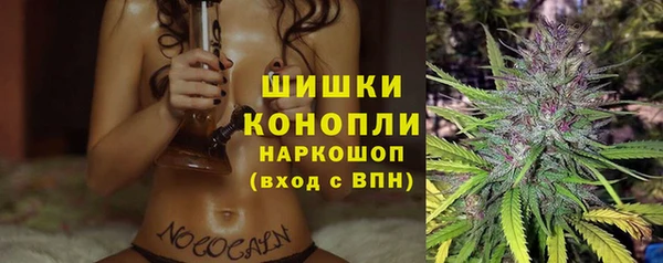 PSILOCYBIN Вяземский